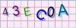 Geben Sie den Code